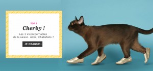 charenza les chaussures pour chat