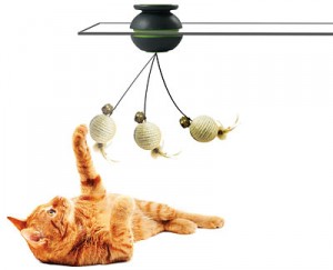 jouets pour chat