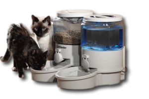 distributeurs automatiques de nourriture pour chat