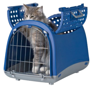 panier cage de transport pour chat